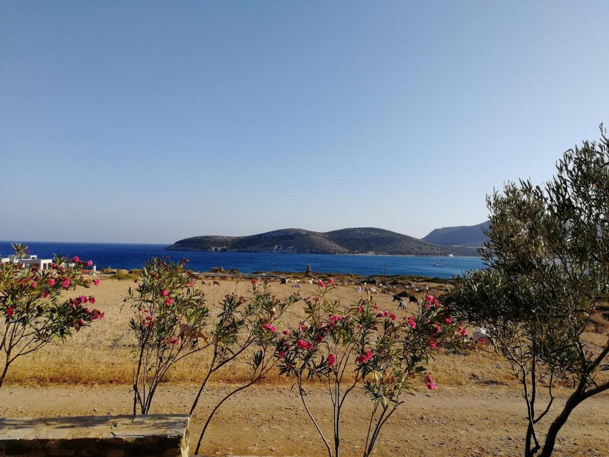 Gio St Gio Apartment 1 Antiparos St.Giorgio 外观 照片